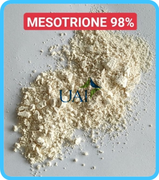 MESOTRIONE 98% - Công Ty TNHH Hóa Chất Phân Bón Thuốc Bvtv Dubai